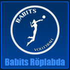Babits Volleyball