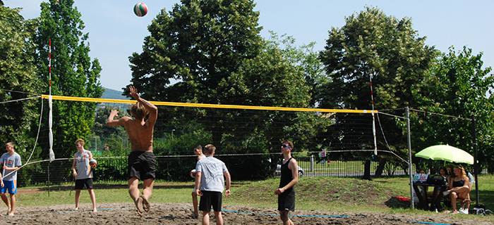 XIV. Babeach röplabda Kupa