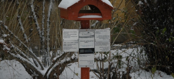 Téli képek